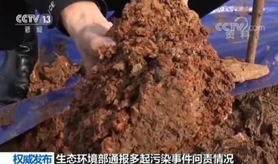生态环境部强化固体废物治理中的“党政同责、一岗双责”问责机制